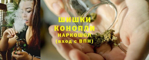 прущие грибы Балабаново
