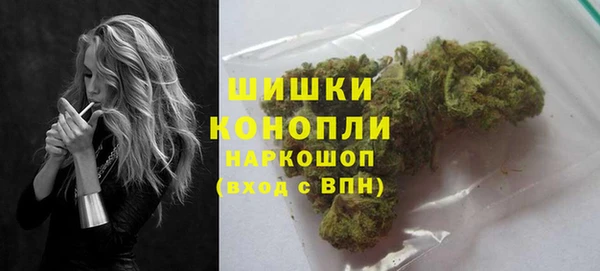 прущие грибы Балабаново