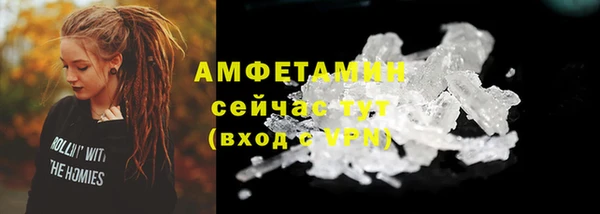 прущие грибы Балабаново