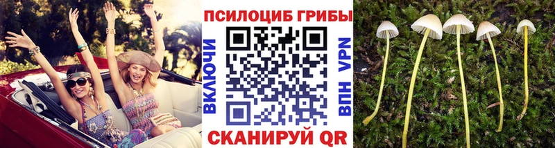 Галлюциногенные грибы GOLDEN TEACHER  Боровичи 